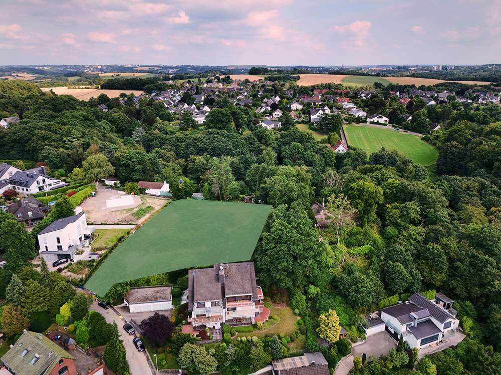 770284e6 ea99 4b3d b2d5 557315