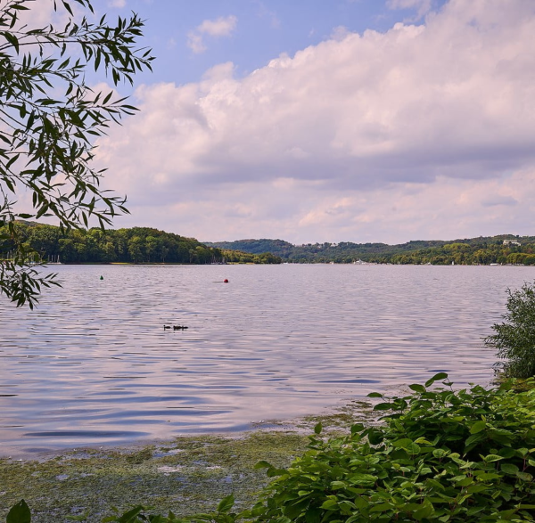 Blick über den Baldeneysee in Essen auf bewaldete Ufer – Naherholung direkt vor der Haustür.
