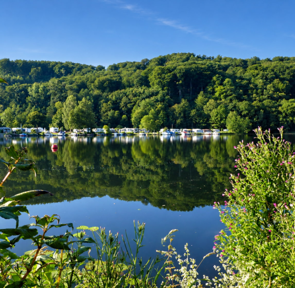 Ruhiger See mit bewaldetem Hang, der sich im Wasser spiegelt, nahe Essen-Werden.