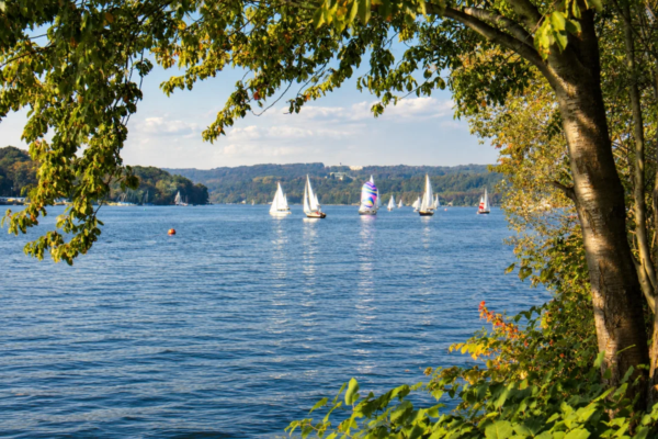 Blick zwischen Bäumen hindurch auf den Baldeneysee mit Segelbooten