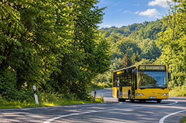 Gelber Linienbus der Linie 180 Richtung Werden S auf einer kurvigen Straße durch das Grüne.