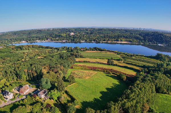 Luftaufnahme des Baldeneysees mit Feldern, Wäldern und Wohnhäusern bei Essen-Werden, im Hintergrund die Essener Skyline.