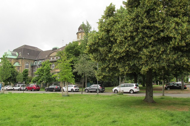 Park mit grossen Baeumen, parkenden Autos und einem Gebaeude im Hintergrund.