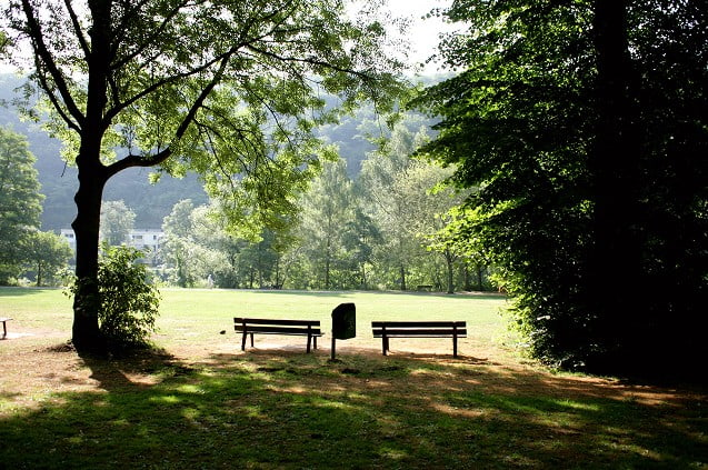 Zwei Parkbänke unter schattigen Bäumen auf einer Wiese im Grünen von Essen-Werden.