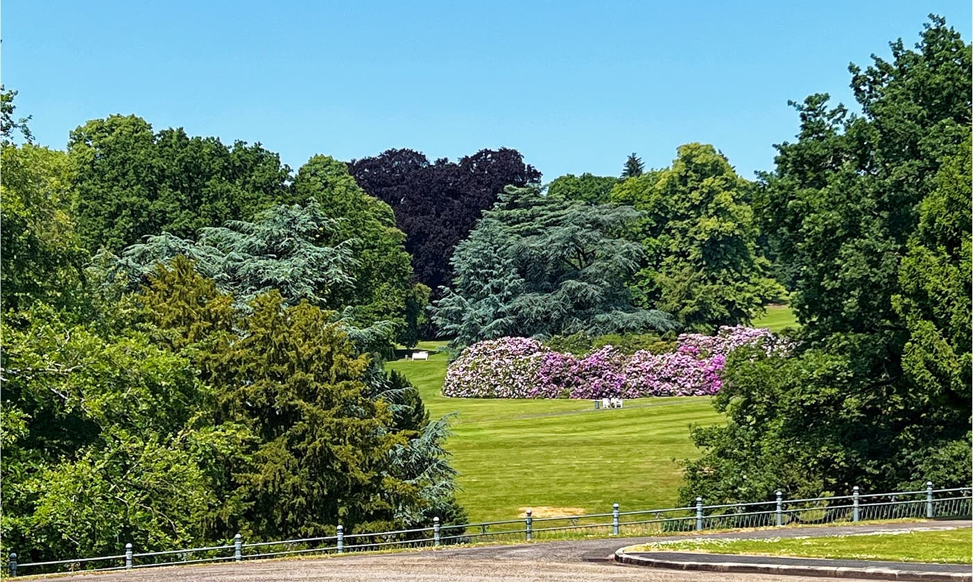 Weitläufige Parklandschaft mit Rasenfläche, grossen Bäumen und blühenden Sträuchern.