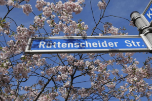 Ein blaues Straßenschild mit der Aufschrift „Rüttenscheider Str.“ vor dem Hintergrund blühender Kirschzweige und eines blauen Himmels.