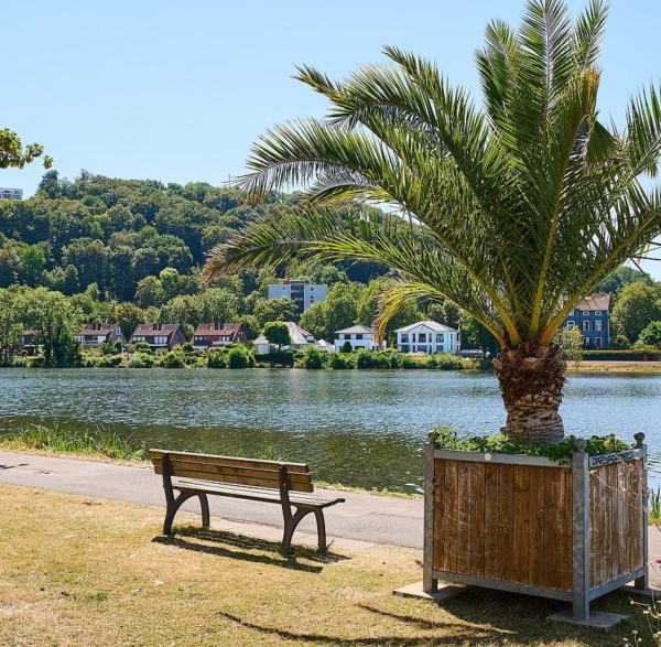 Parkbank und Palmenkübel an der Uferpromenade mit Blick über die Ruhr auf bewaldete Hänge und Wohnhäuser.