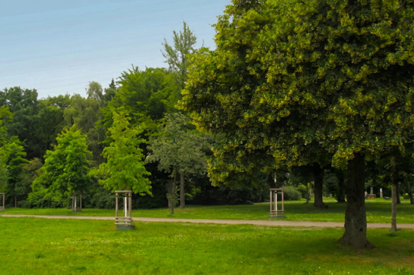 Weitläufige Parkanlage mit altem Baumbestand und Wiese als Naherholungsfläche im Wohnumfeld.