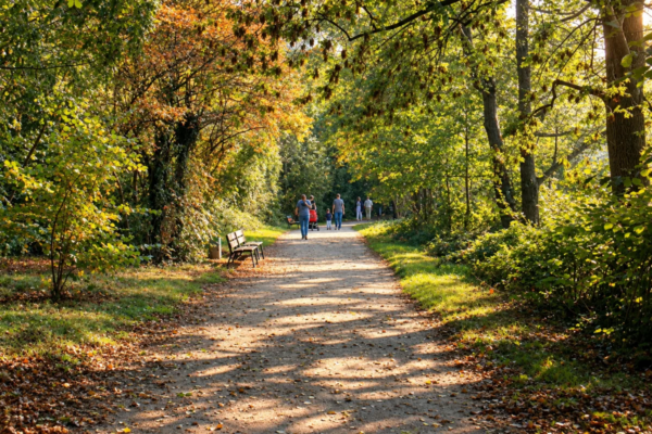 Waldweg mit herbstlichem Laub im Grünen bei Essen-Heisingen